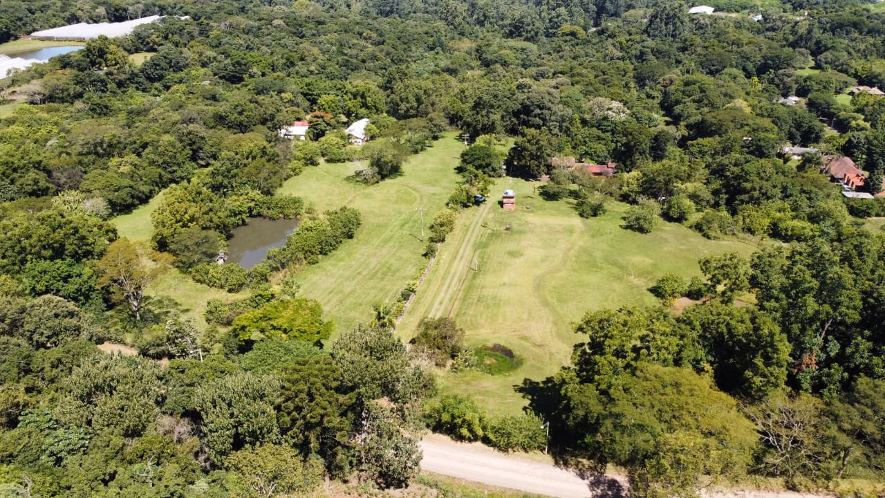 Small farm of 14 acres in Dois Irmãos, RS, Brazil