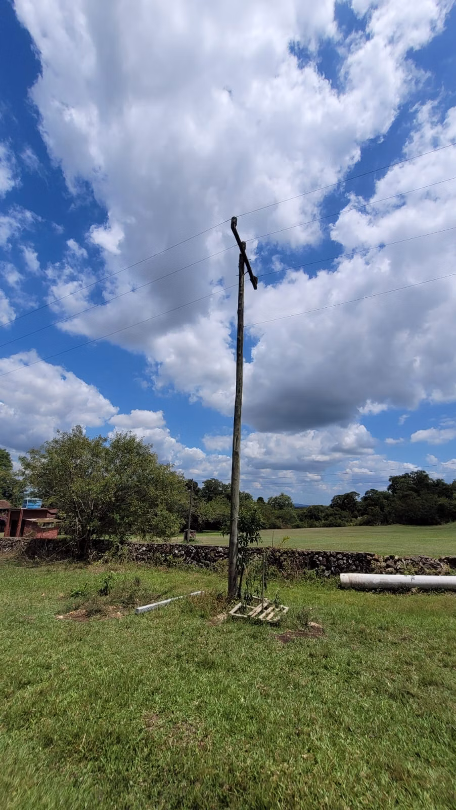 Small farm of 14 acres in Dois Irmãos, RS, Brazil