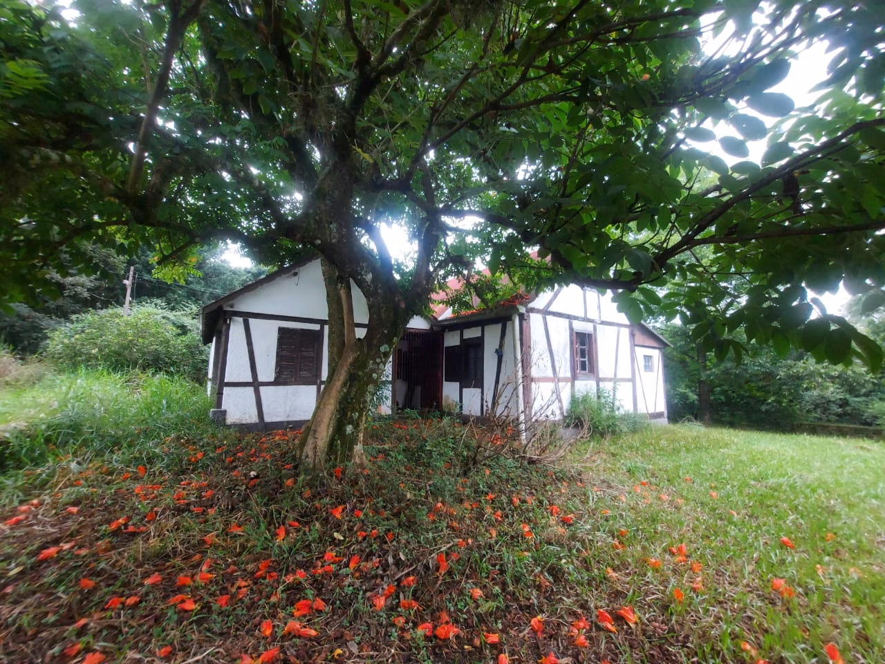 Small farm of 14 acres in Dois Irmãos, RS, Brazil