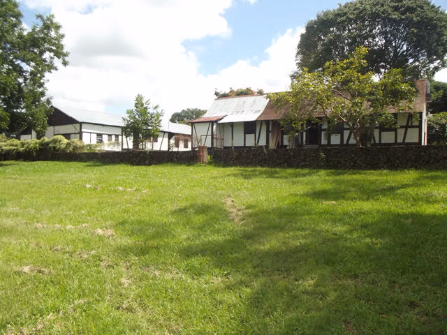 Small farm of 14 acres in Dois Irmãos, RS, Brazil