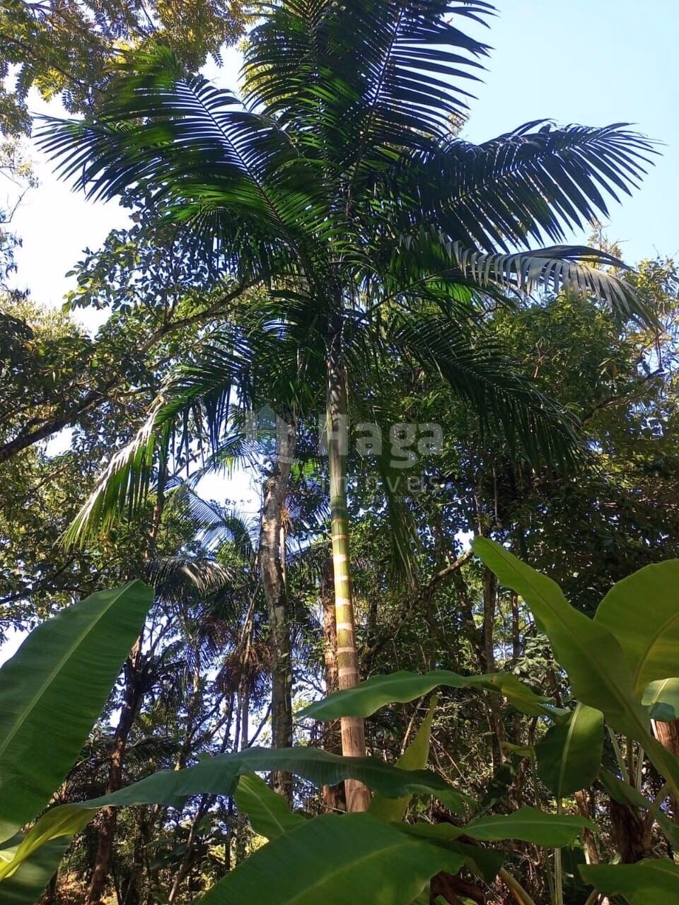 Country home of 4.000 m² in Nova Trento, SC, Brazil