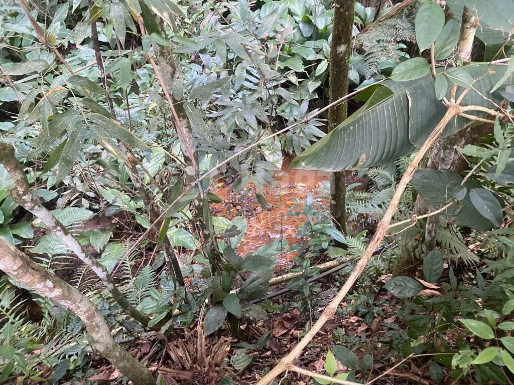 Farm of 1 acres in Brusque, SC, Brazil
