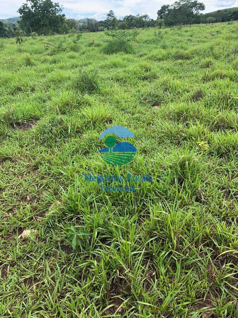 Fazenda de 1.210 ha em Campinaçu, GO