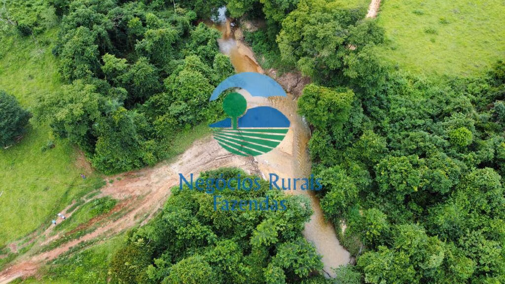 Farm of 2.990 acres in Campinaçu, GO, Brazil