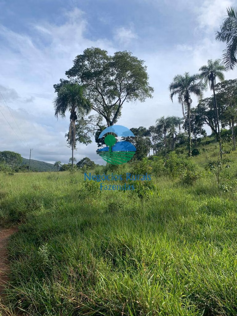 Fazenda de 1.210 ha em Campinaçu, GO