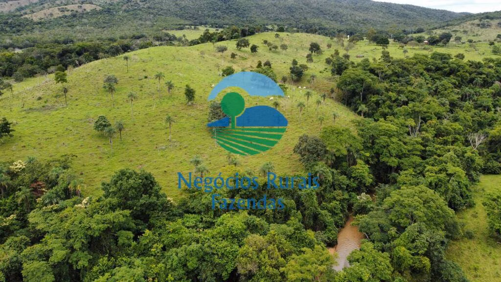 Fazenda de 1.210 ha em Campinaçu, GO