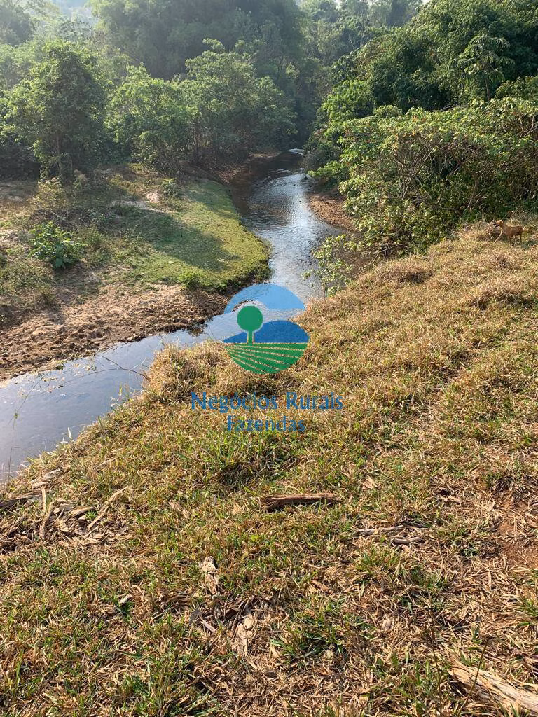 Farm of 2.990 acres in Campinaçu, GO, Brazil