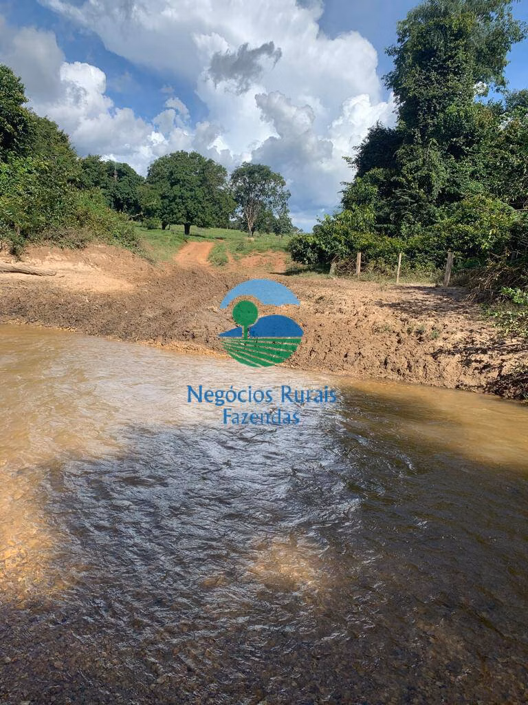 Fazenda de 1.210 ha em Campinaçu, GO