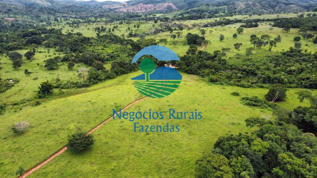 Fazenda de 1.210 ha em Campinaçu, GO