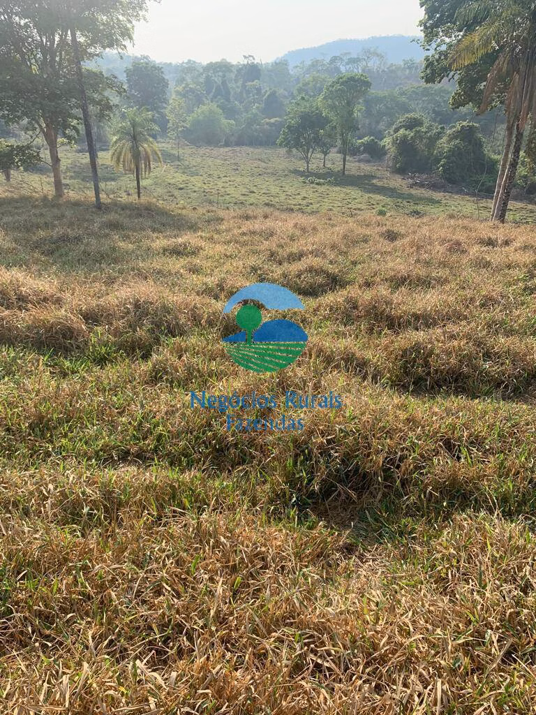 Farm of 2.990 acres in Campinaçu, GO, Brazil