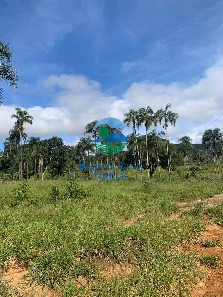 Fazenda de 1.210 ha em Campinaçu, GO