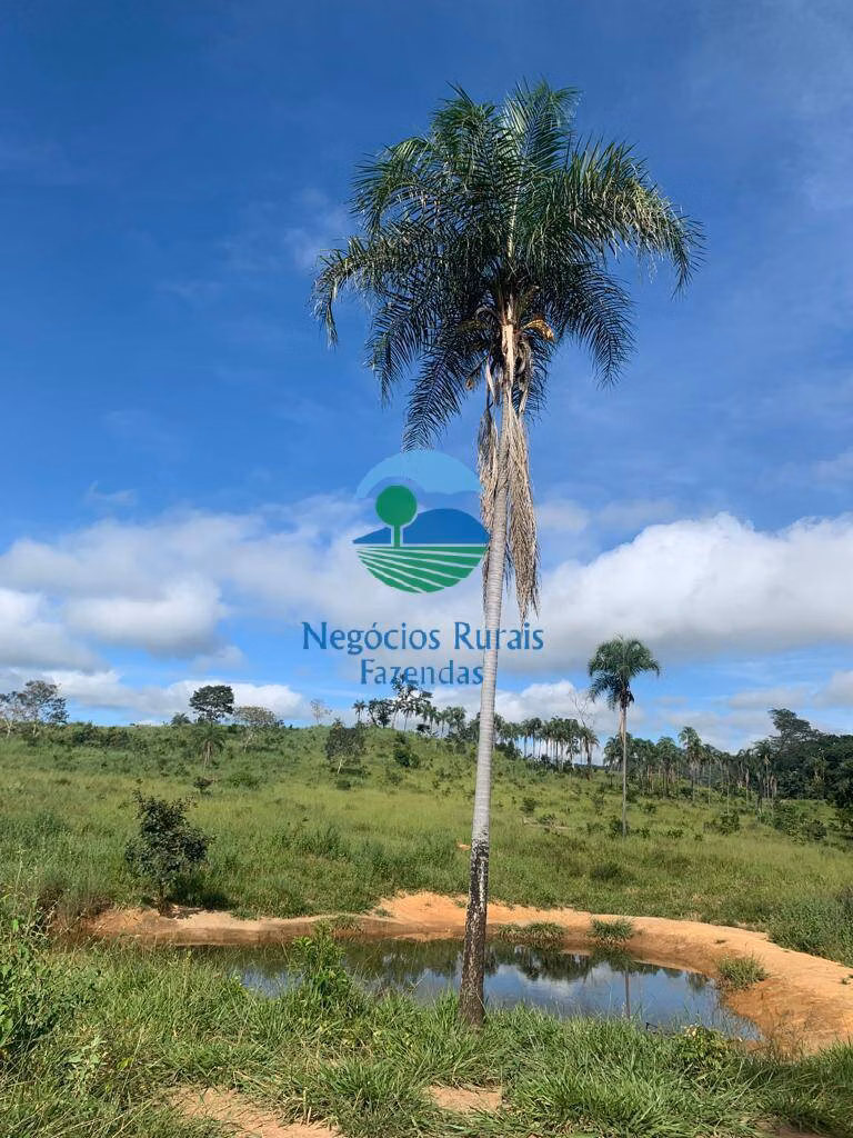Farm of 2.990 acres in Campinaçu, GO, Brazil