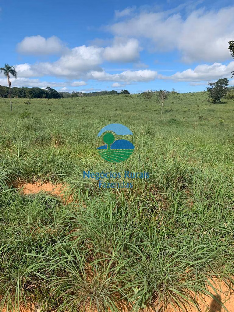 Fazenda de 1.210 ha em Campinaçu, GO