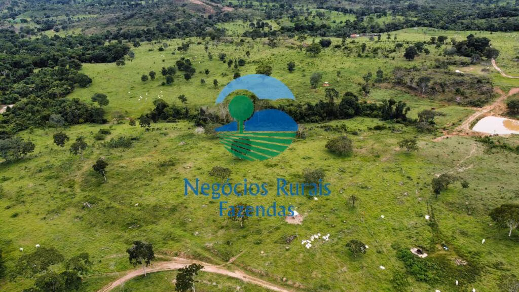 Fazenda de 1.210 ha em Campinaçu, GO