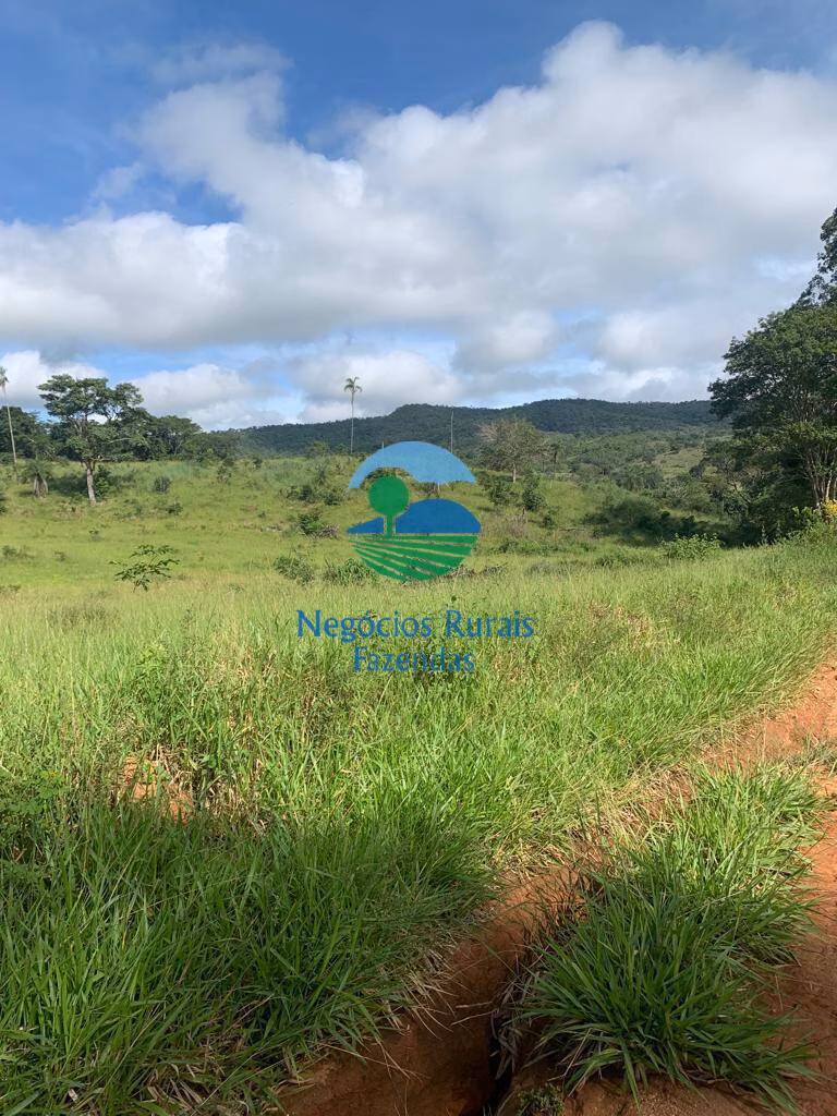 Fazenda de 1.210 ha em Campinaçu, GO