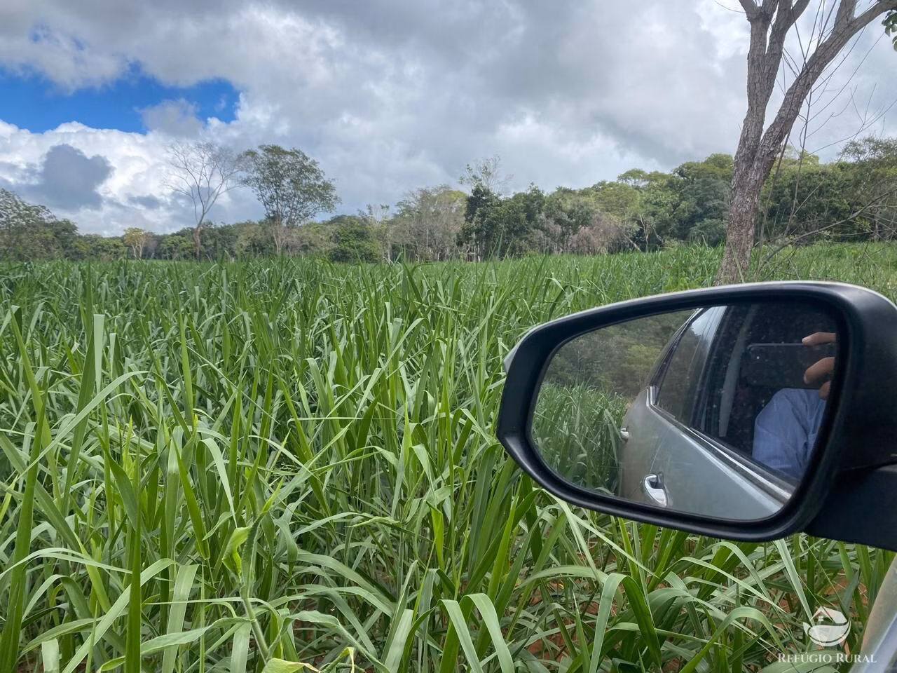 Fazenda de 850 ha em Rio Negro, MS