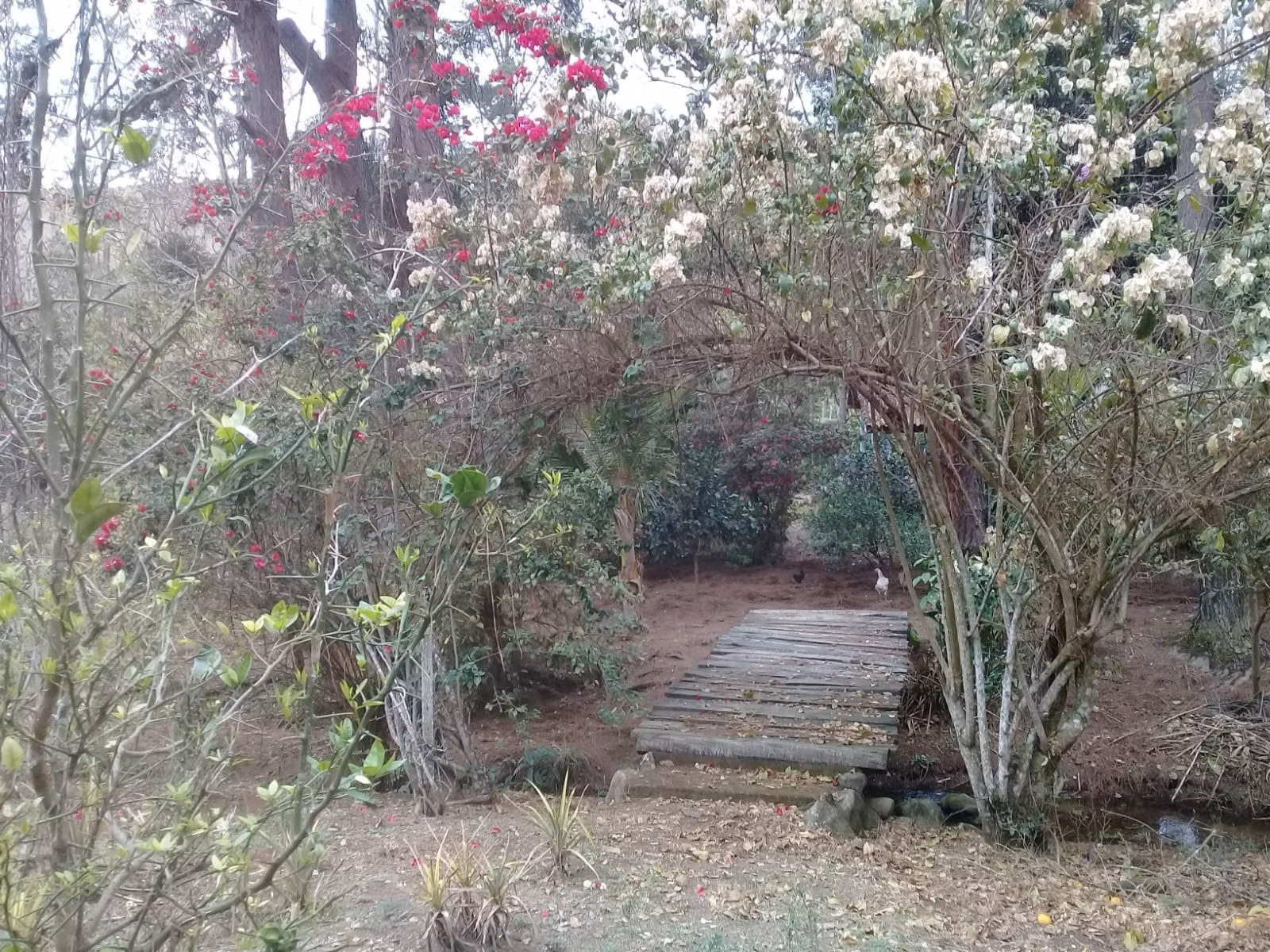 Sítio de 24 ha em São José dos Campos, SP