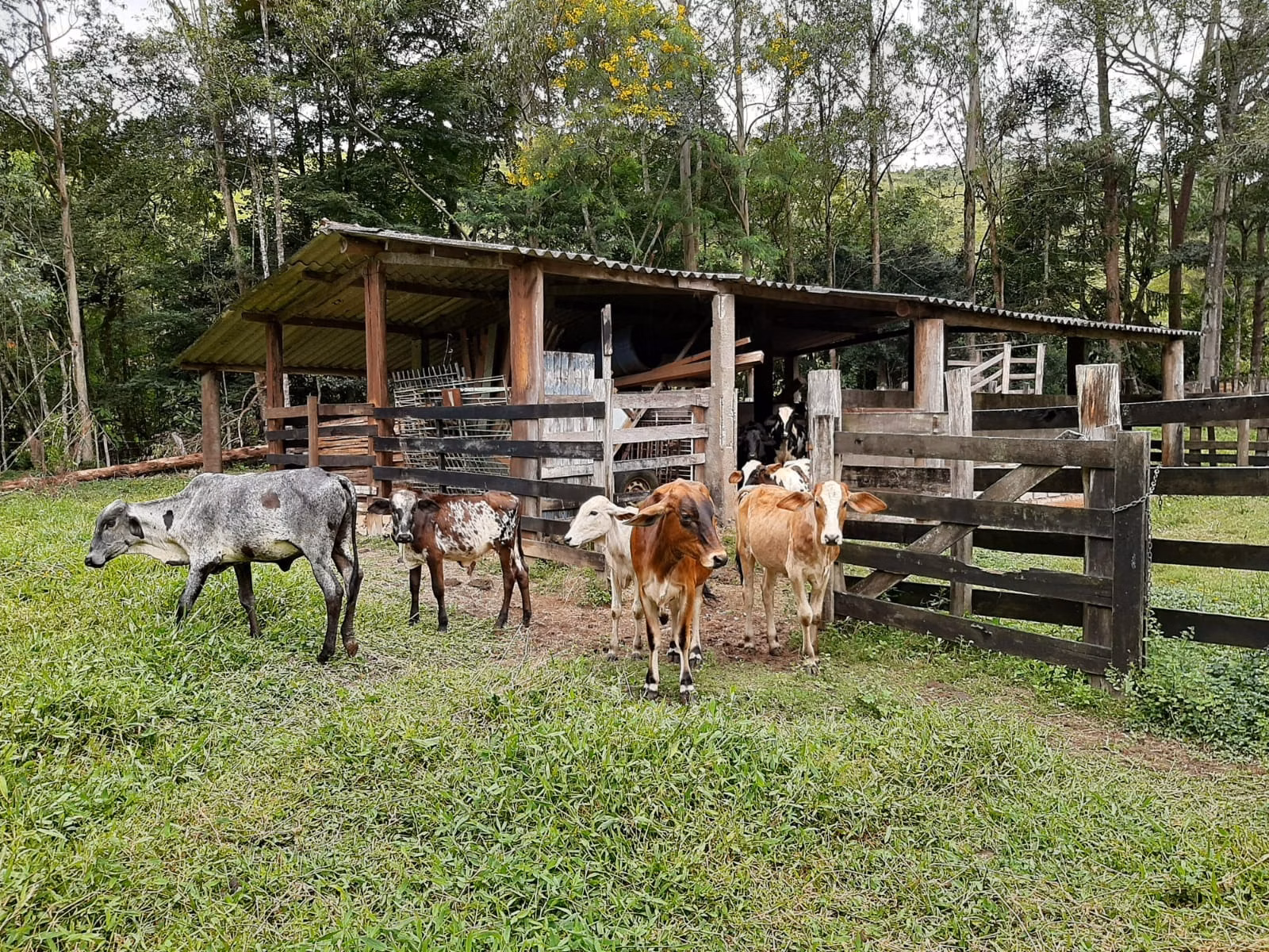 Sítio de 24 ha em São José dos Campos, SP