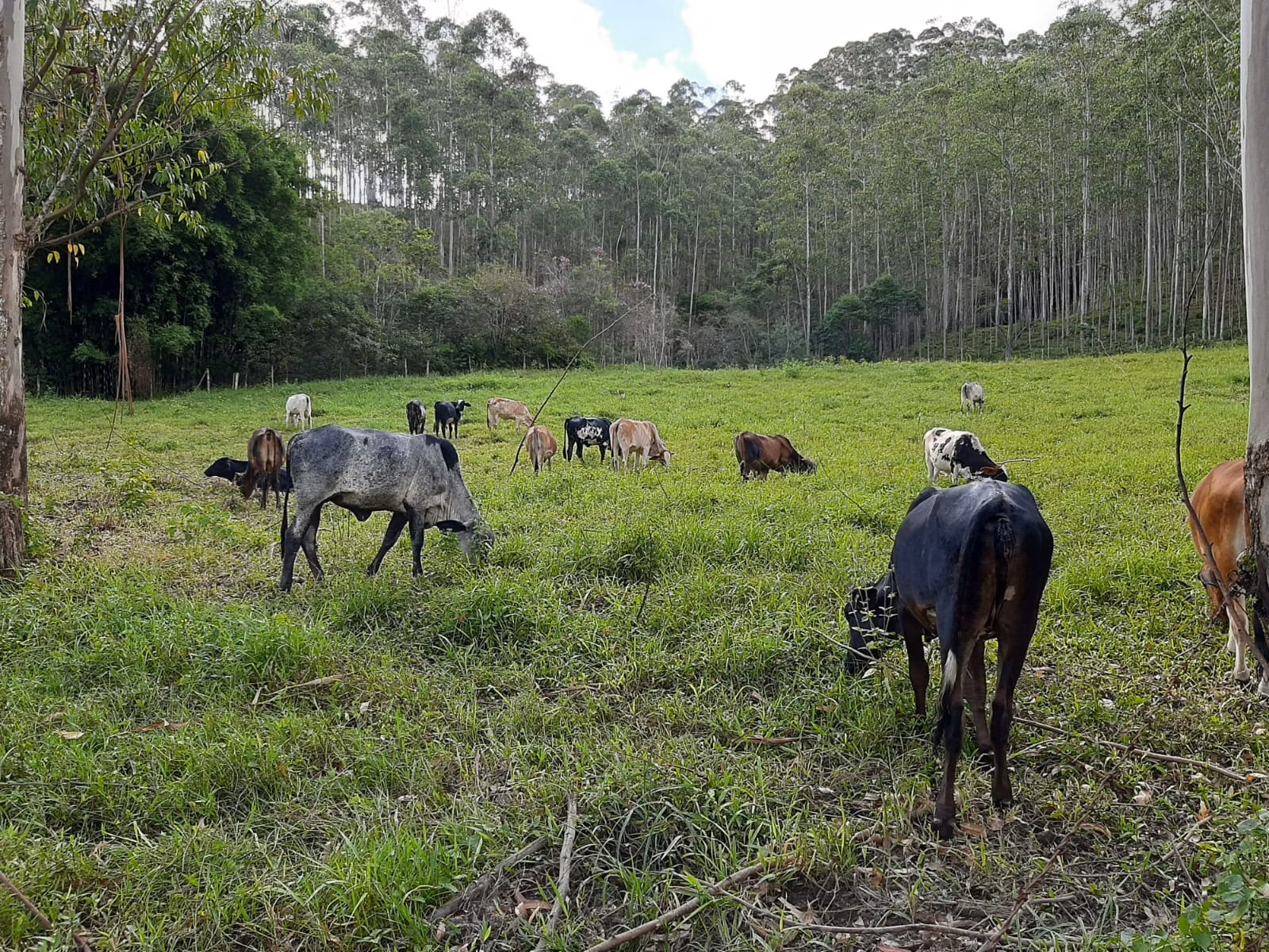 Sítio de 24 ha em São José dos Campos, SP