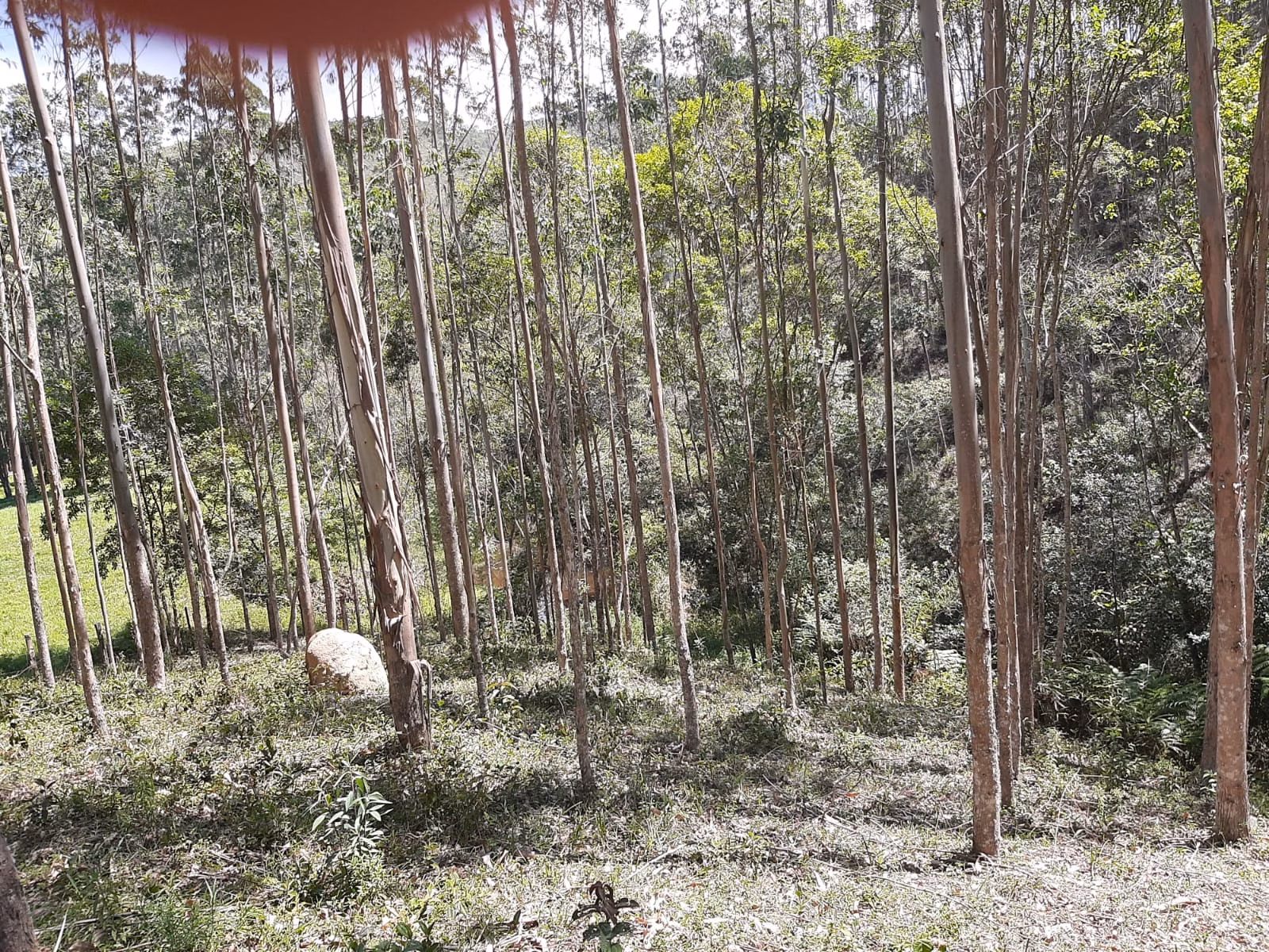 Sítio de 24 ha em São José dos Campos, SP