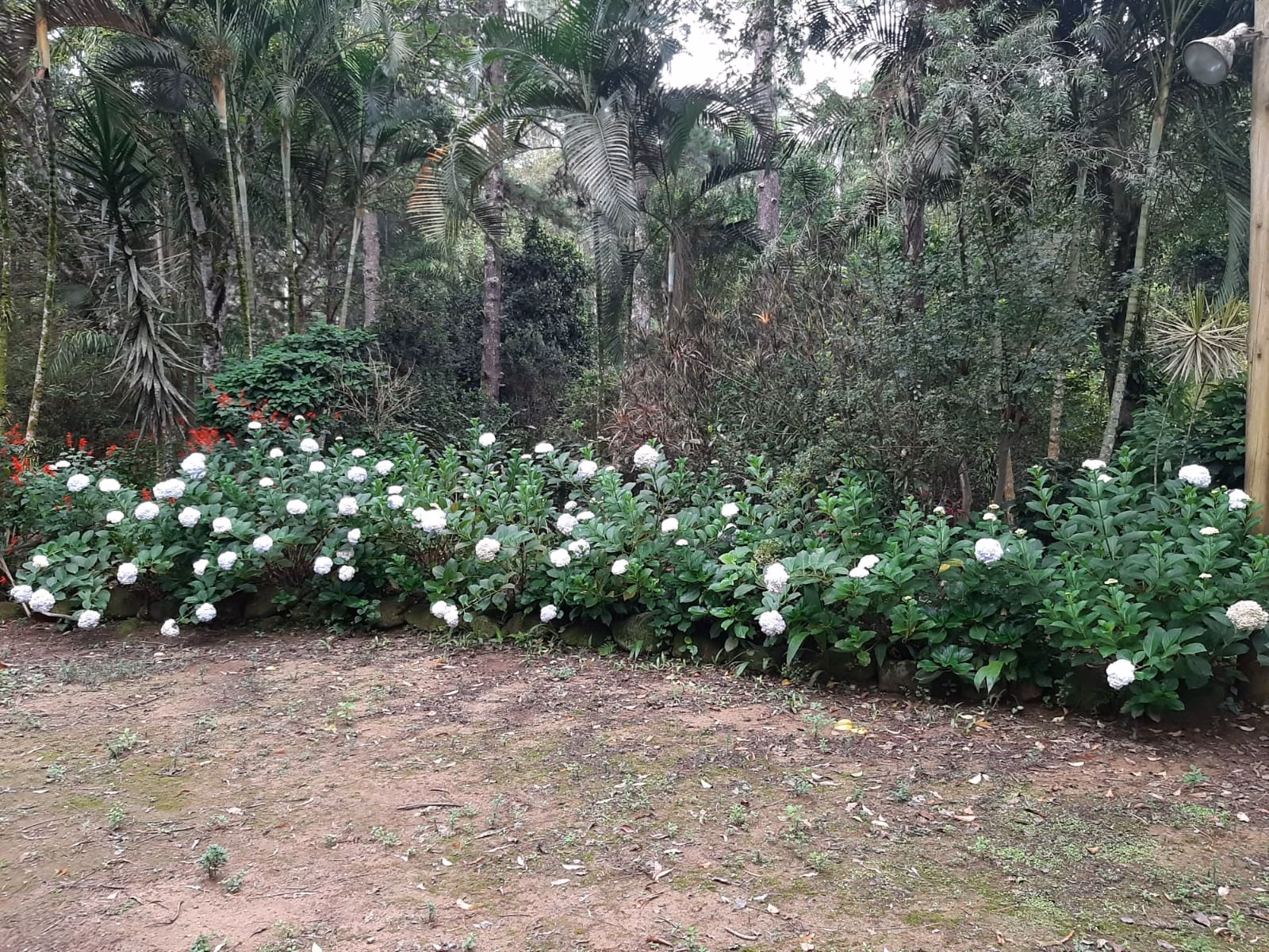 Sítio de 24 ha em São José dos Campos, SP