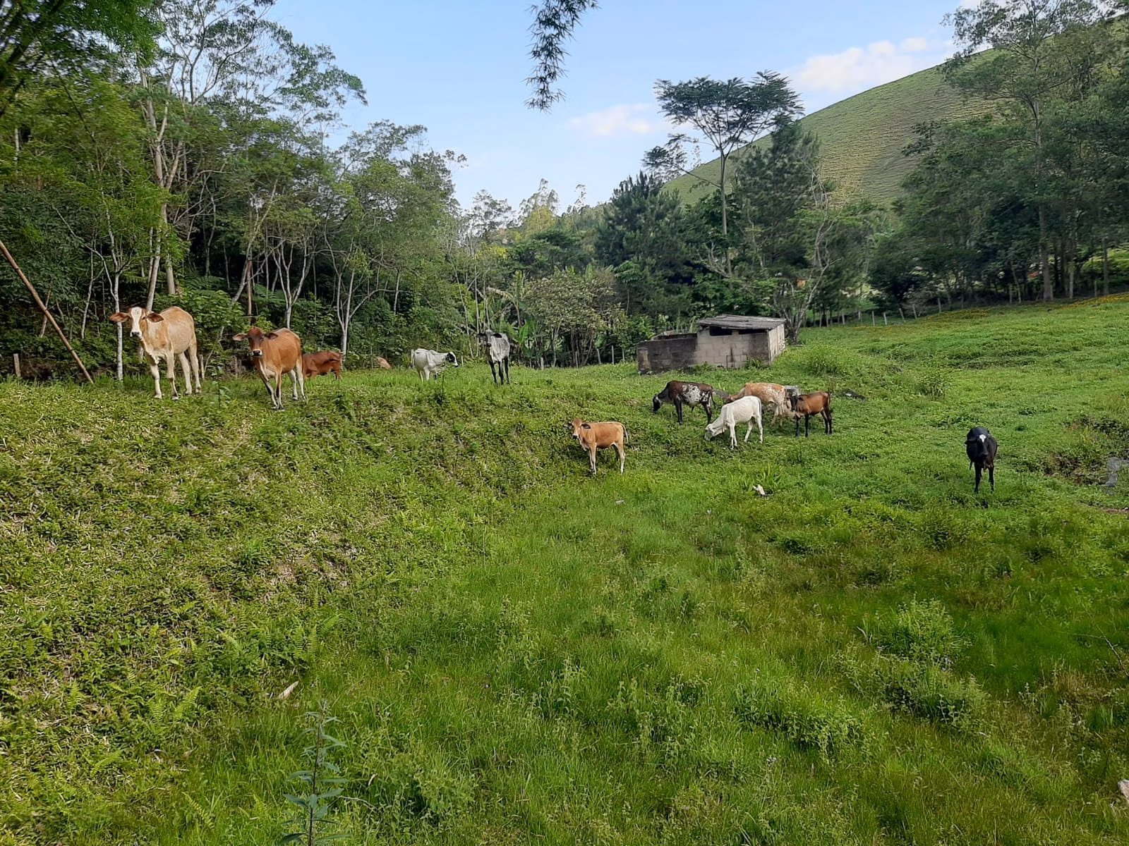 Sítio de 24 ha em São José dos Campos, SP