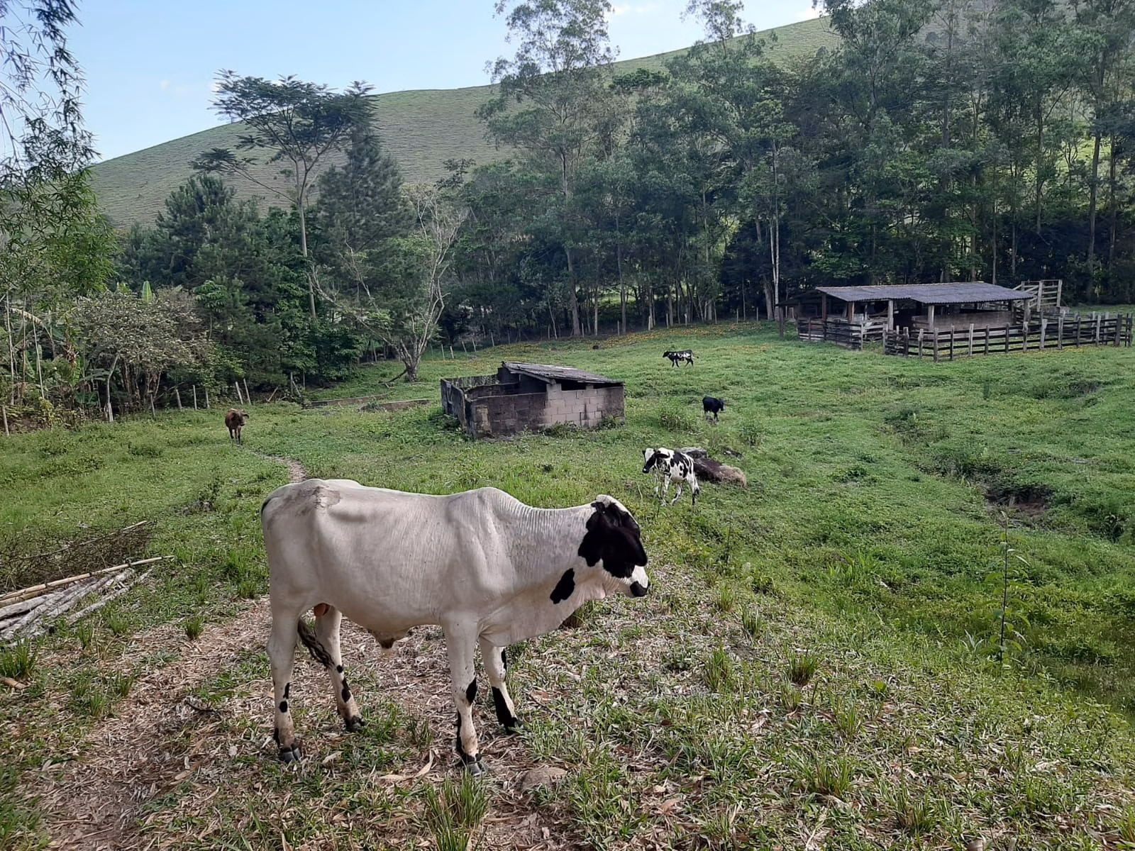 Sítio de 24 ha em São José dos Campos, SP