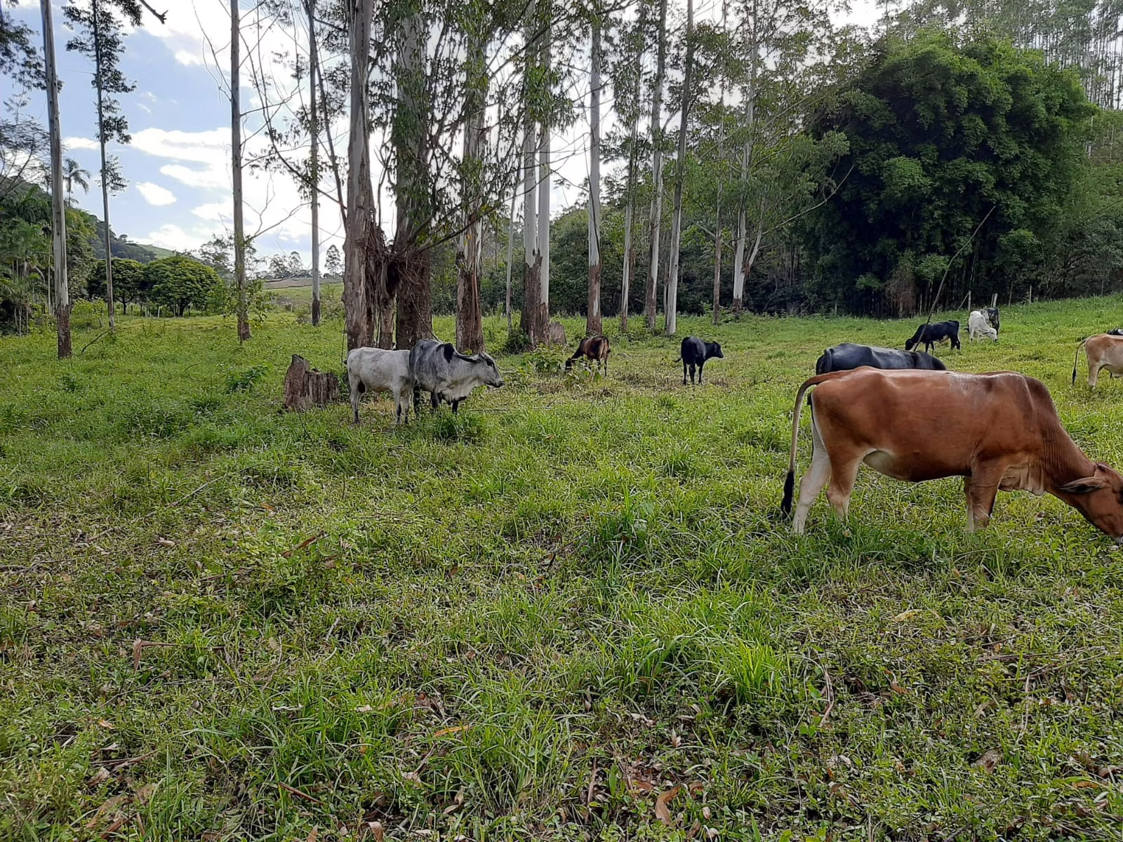 Sítio de 24 ha em São José dos Campos, SP
