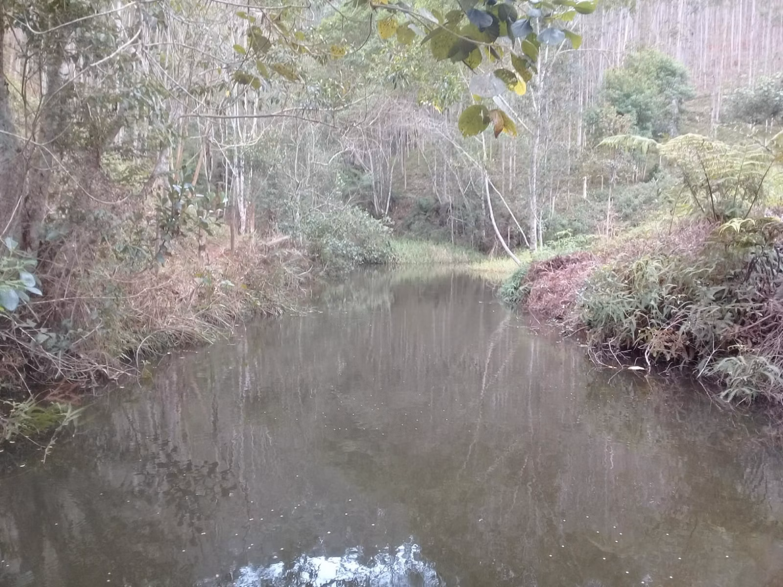 Sítio de 24 ha em São José dos Campos, SP