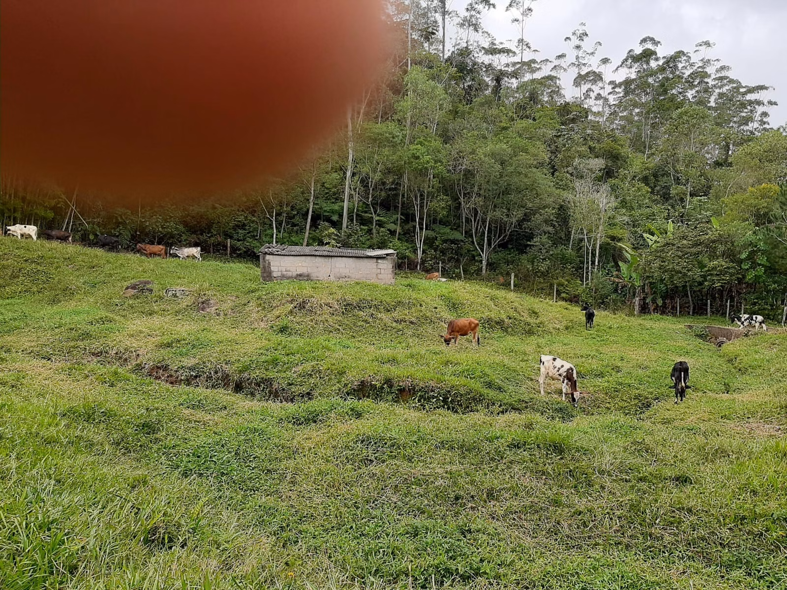 Sítio de 24 ha em São José dos Campos, SP