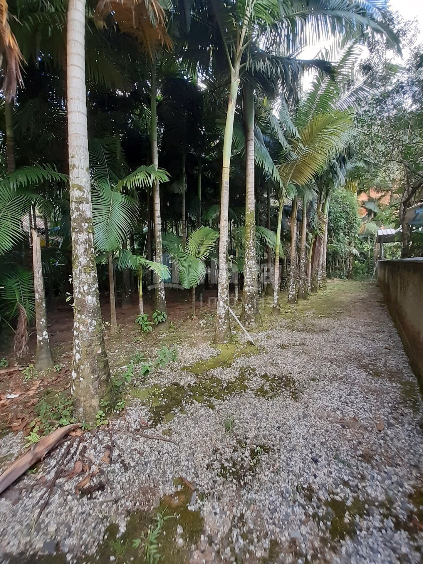 House of 2,058 m² in Guabiruba, SC, Brazil