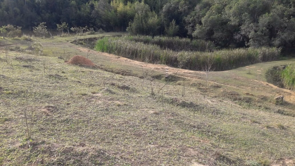 Small farm of 108 acres in São Miguel Arcanjo, SP, Brazil