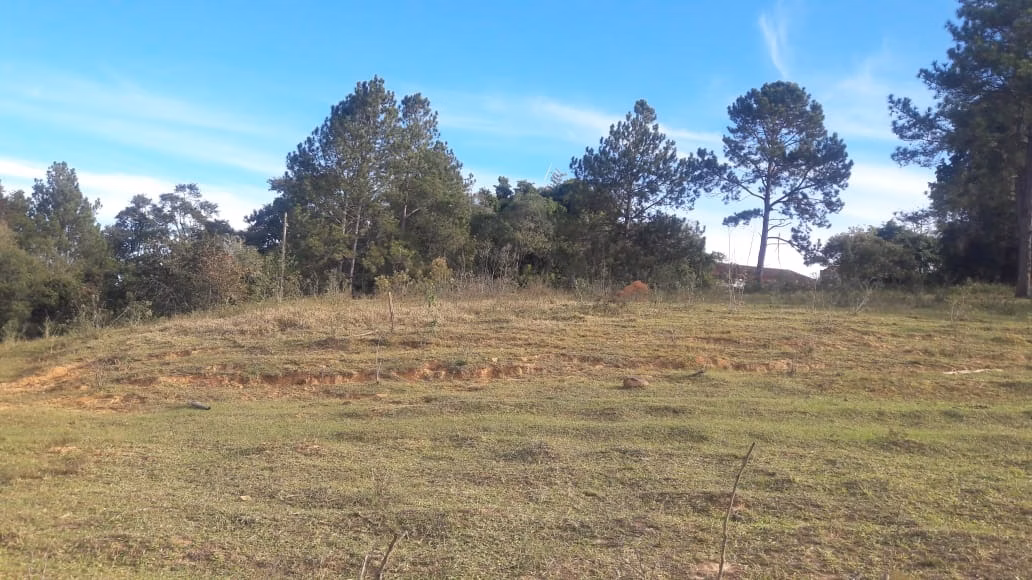 Small farm of 108 acres in São Miguel Arcanjo, SP, Brazil