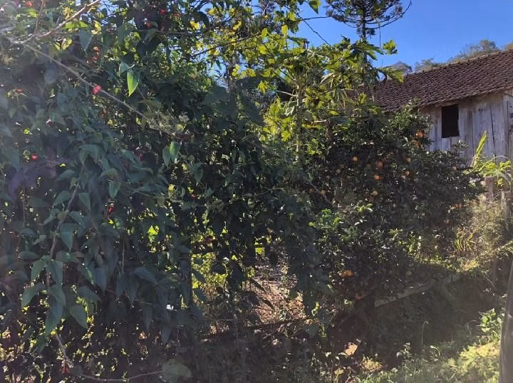 Terreno de 4 ha em Rolante, RS