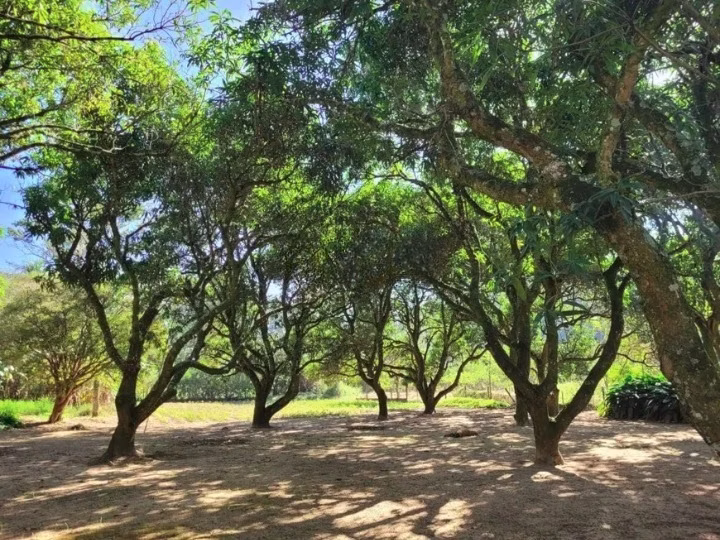 Sítio de 3 ha em Pindamonhangaba, SP