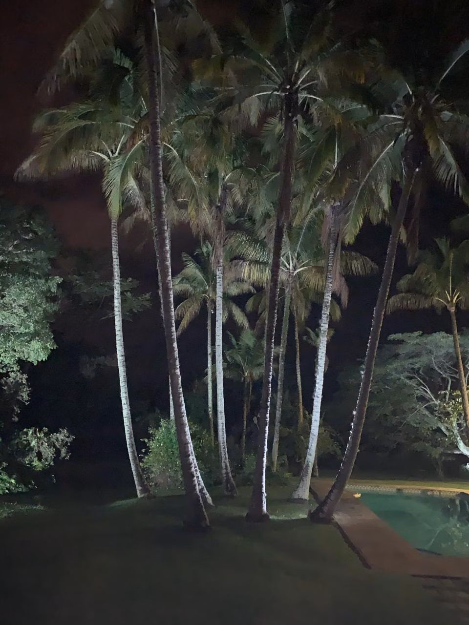 Sítio de 3 ha em Pindamonhangaba, SP