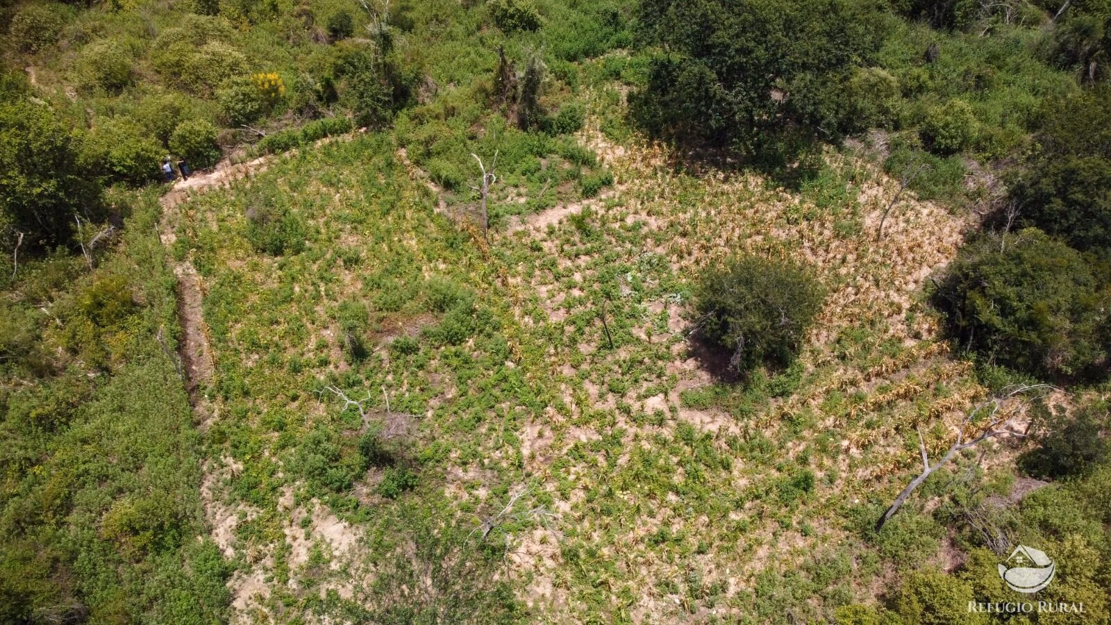 Fazenda de 418 ha em Barra, BA