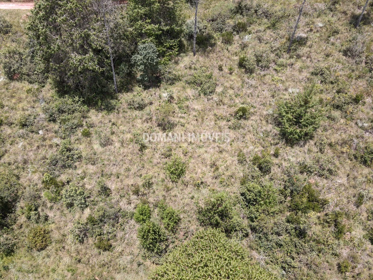 Plot of 1,050 m² in Campos do Jordão, SP, Brazil