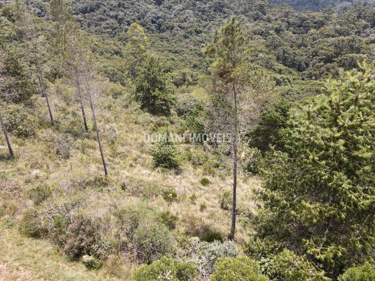 Plot of 1,050 m² in Campos do Jordão, SP, Brazil