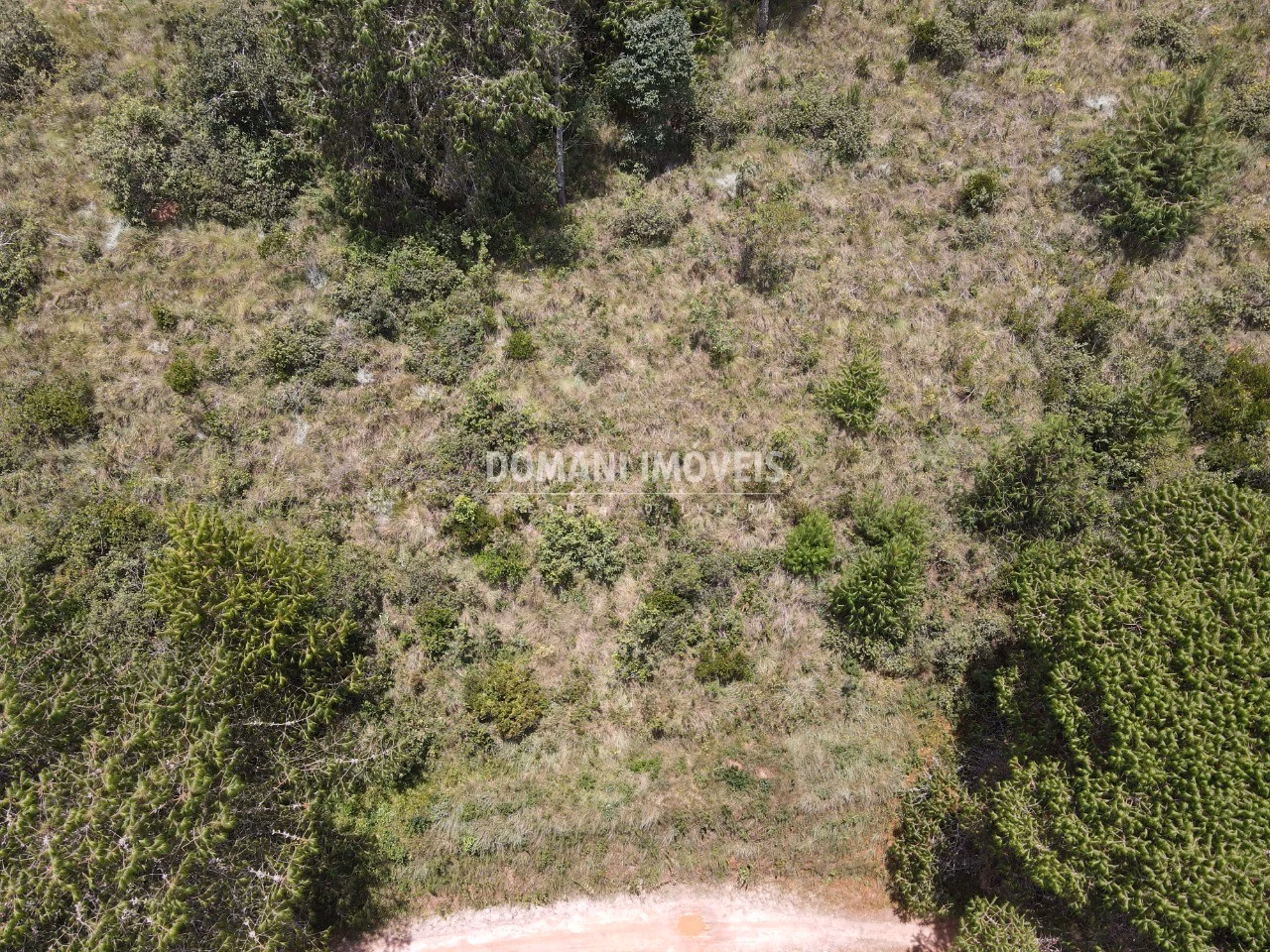 Plot of 1,050 m² in Campos do Jordão, SP, Brazil