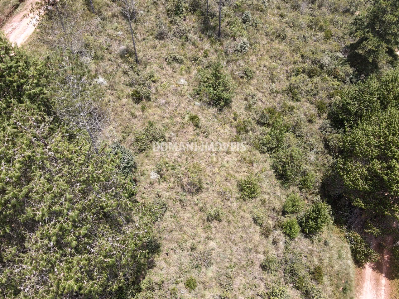 Plot of 1,050 m² in Campos do Jordão, SP, Brazil