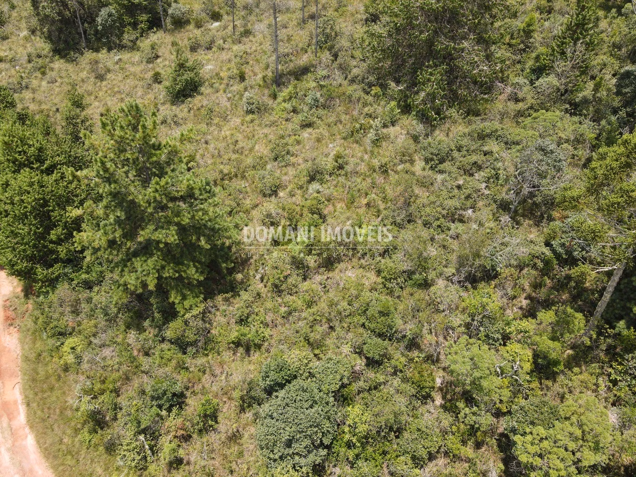 Plot of 1,050 m² in Campos do Jordão, SP, Brazil