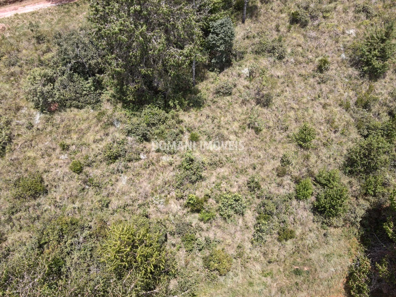 Plot of 1,050 m² in Campos do Jordão, SP, Brazil