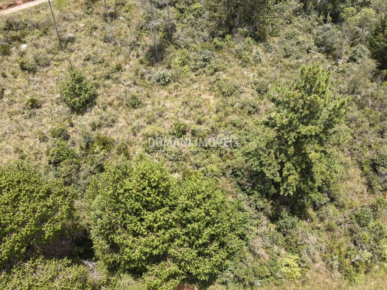 Plot of 1,050 m² in Campos do Jordão, SP, Brazil