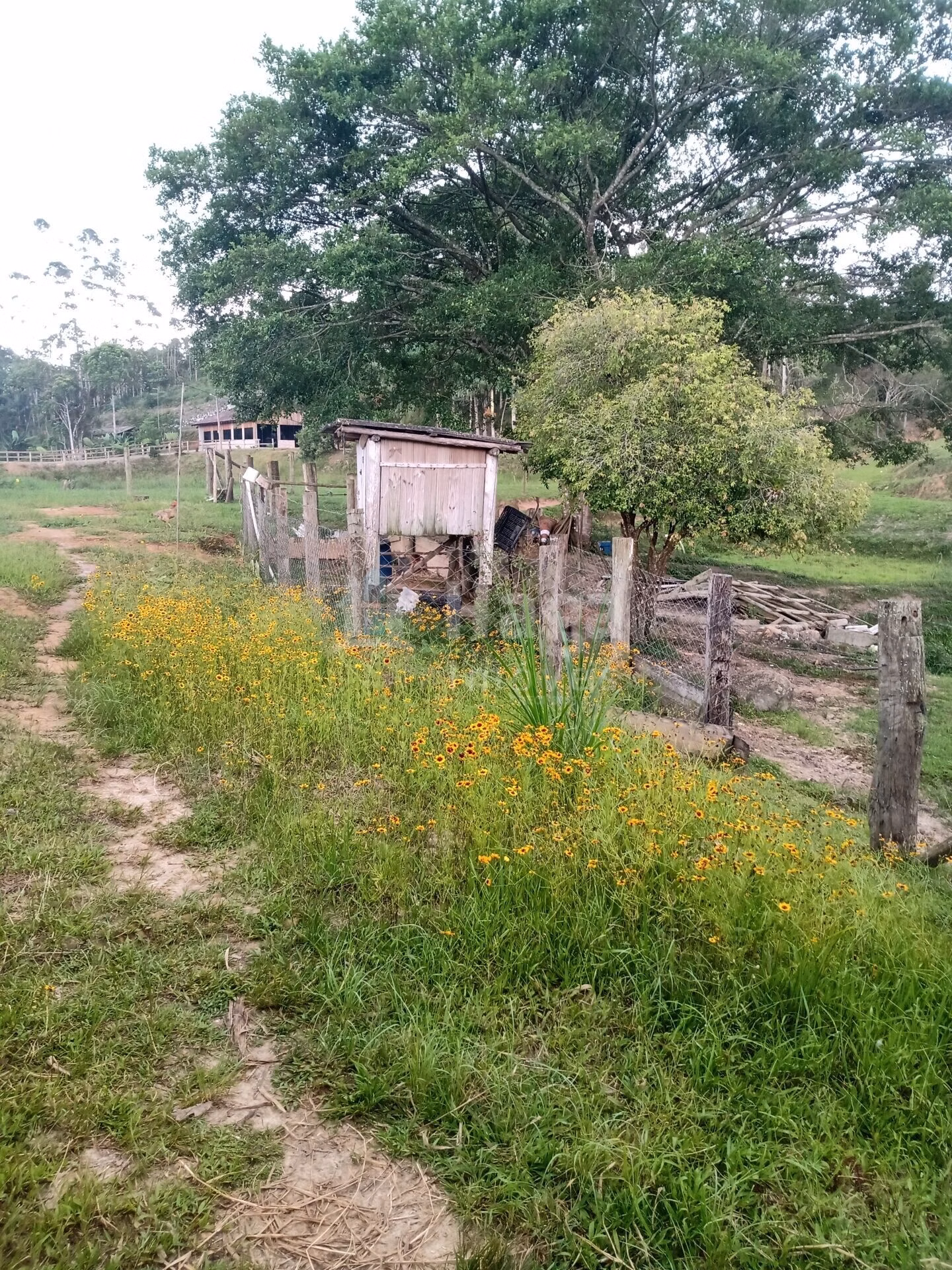 Chácara de 7.796 m² em Gaspar, SC