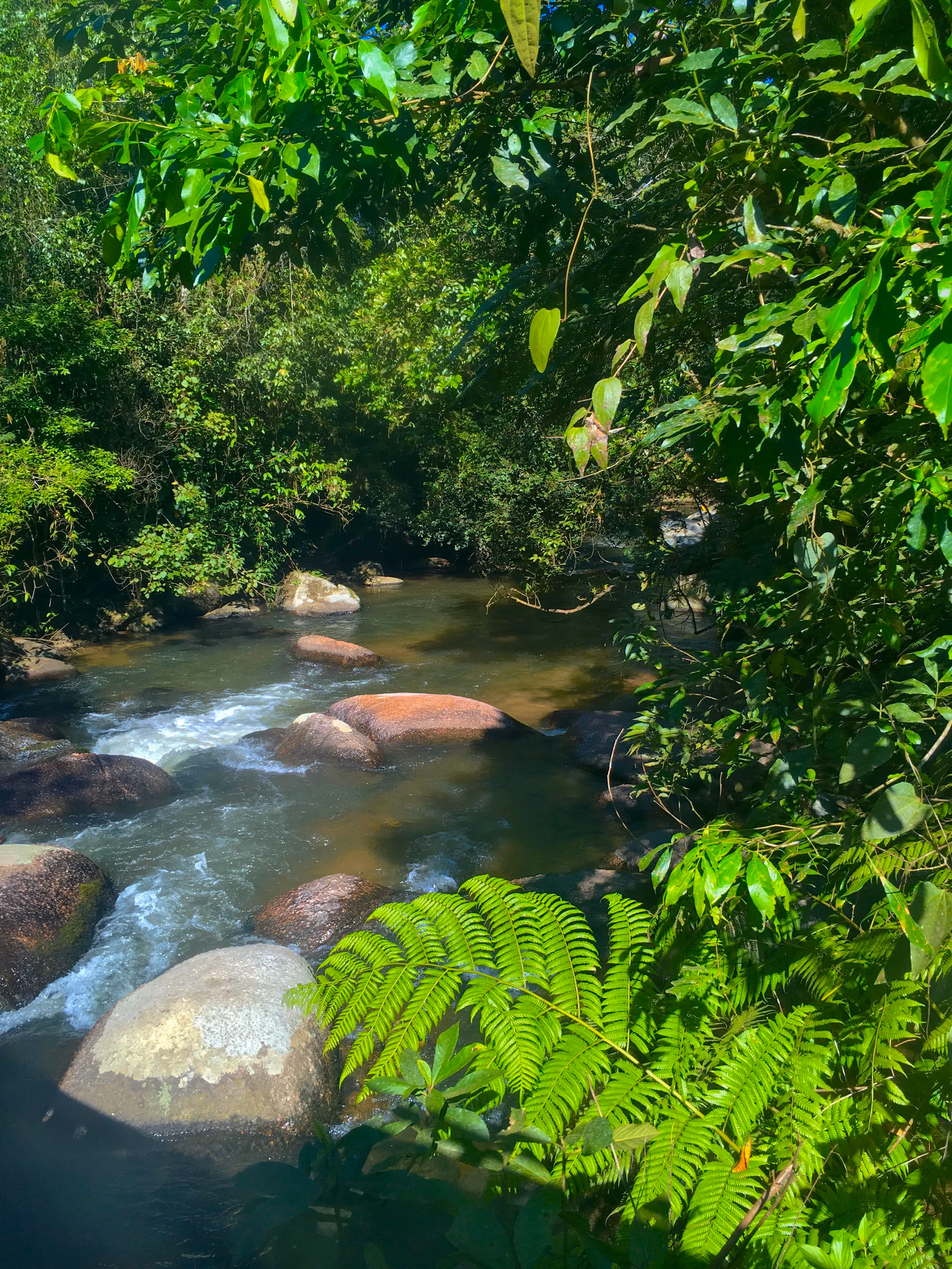 Small farm of 111 acres in Tapiraí, SP, Brazil
