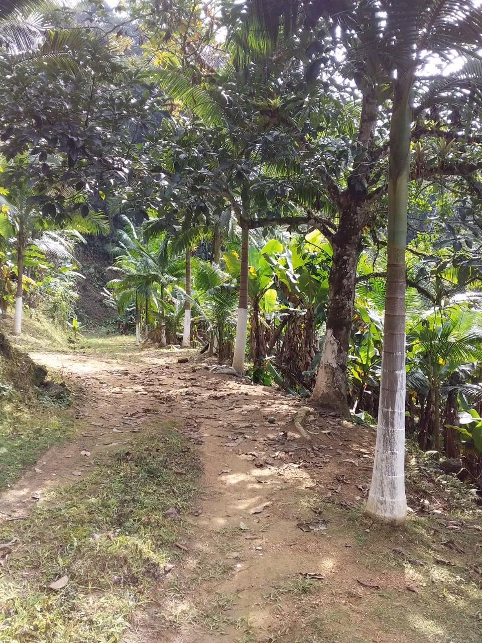 Sítio de 45 ha em Tapiraí, SP