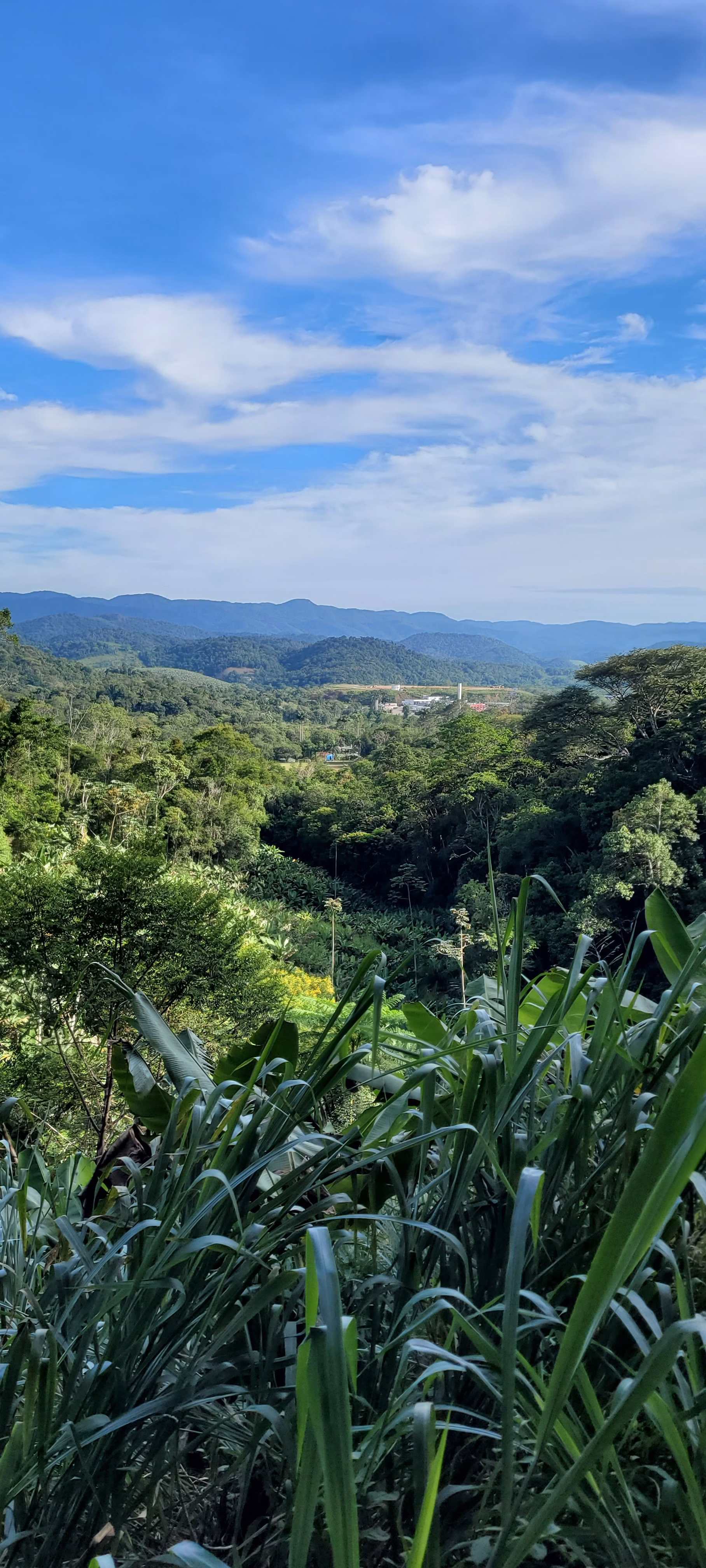 Sítio de 57 ha em Miracatu, SP