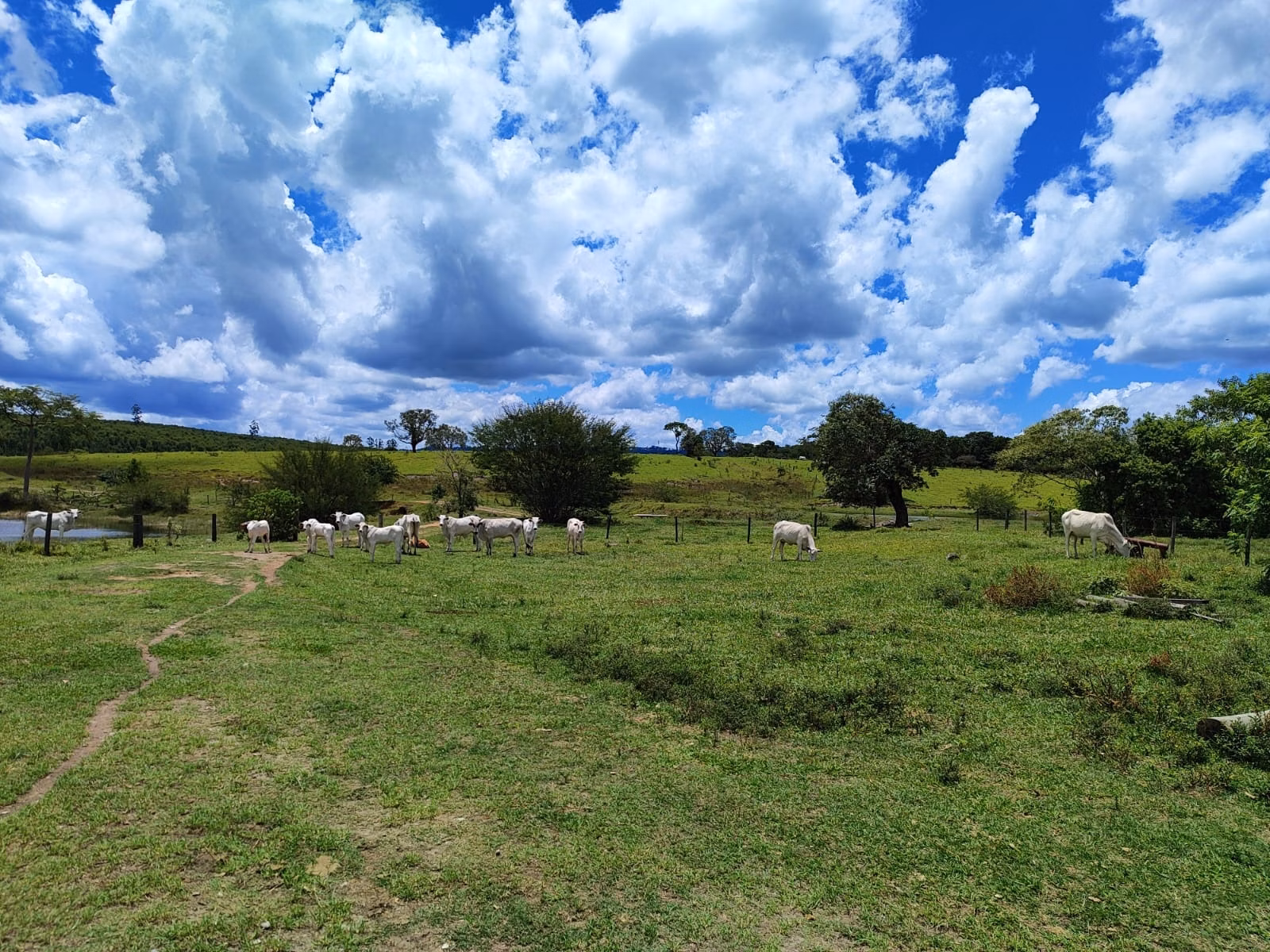 Farm of 1.758 acres in Botucatu, SP, Brazil