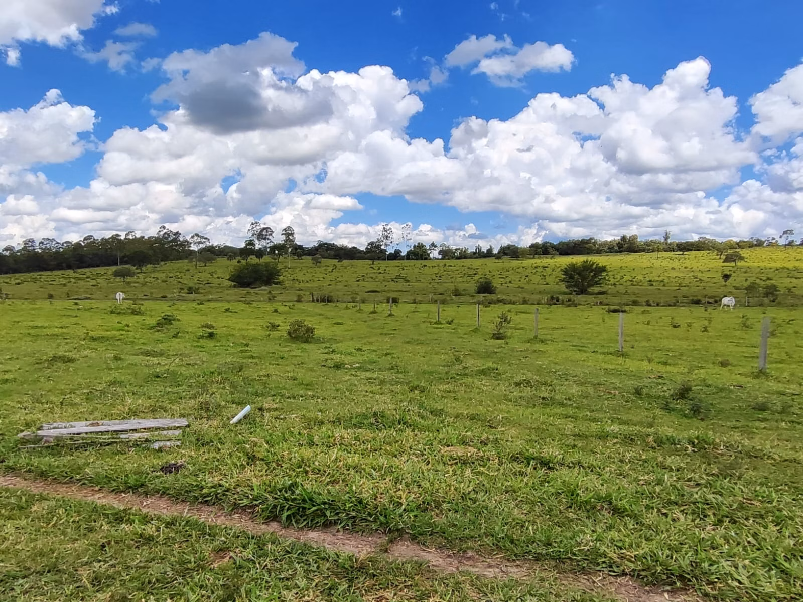 Fazenda de 711 ha em Botucatu, SP